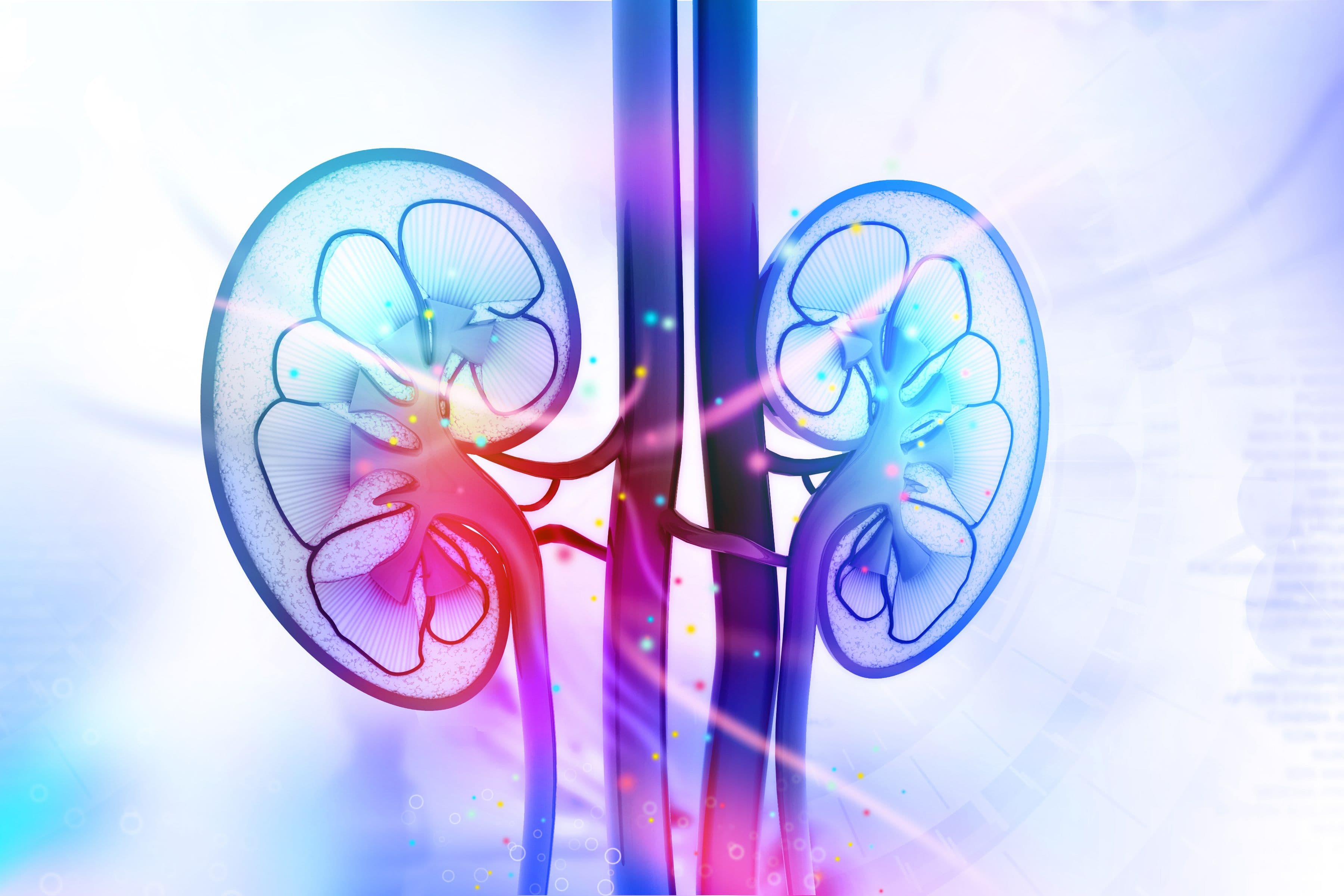 Target for Polycystic Kidney Disease Gene Therapy Might Lie in MicroRNA Binding Sites 