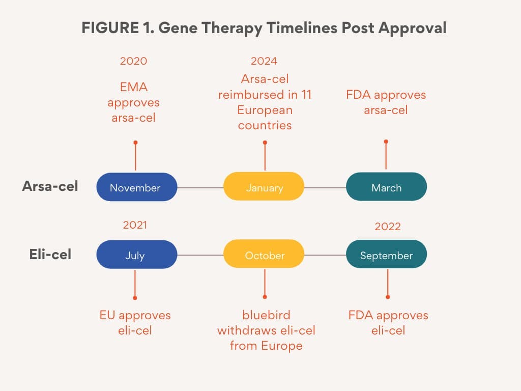 Leukodystrophy gene threrapy timelines post-approval